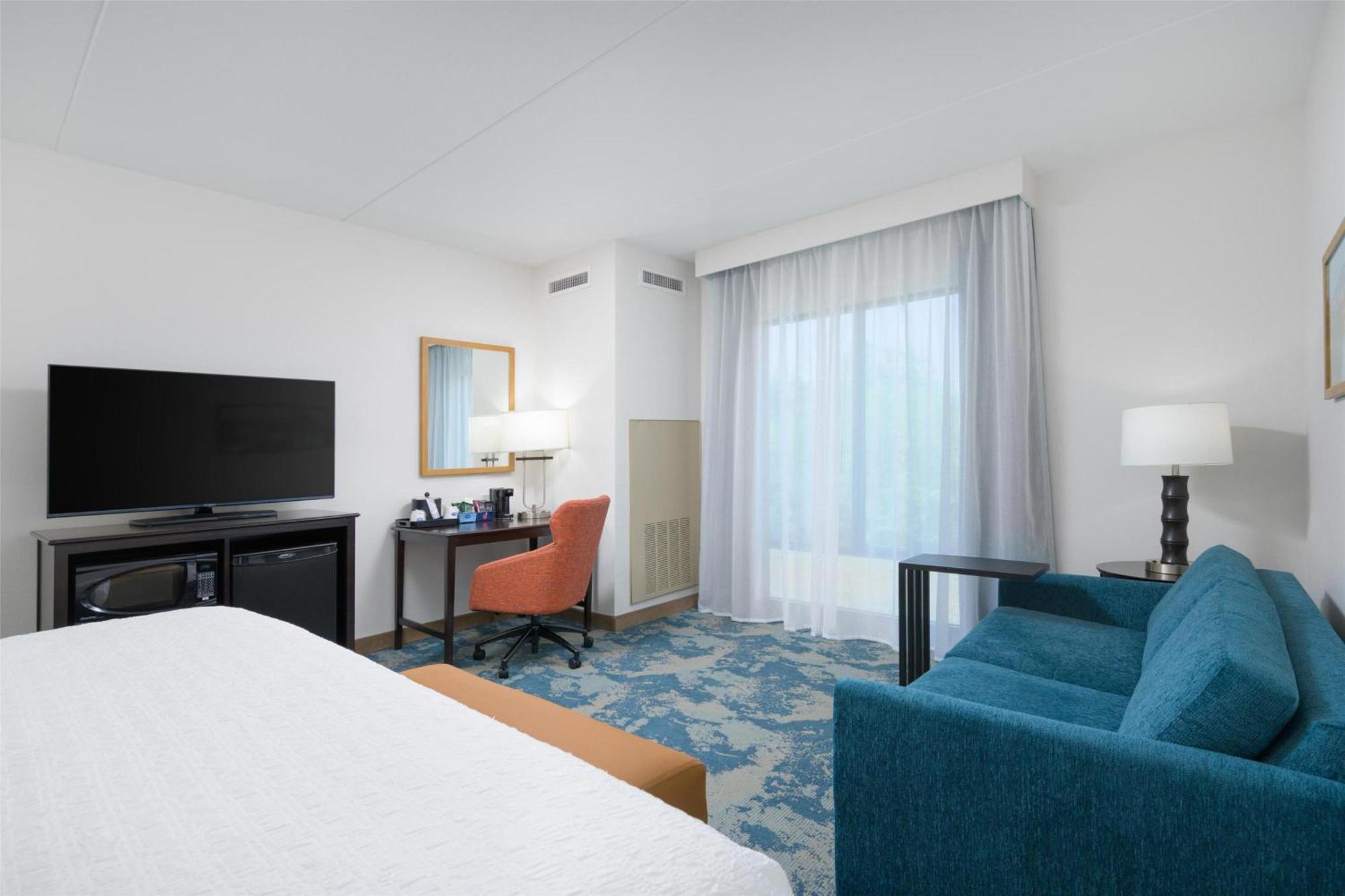 King Room Sofa Bed Non-Smoking,1673943932:JPEG